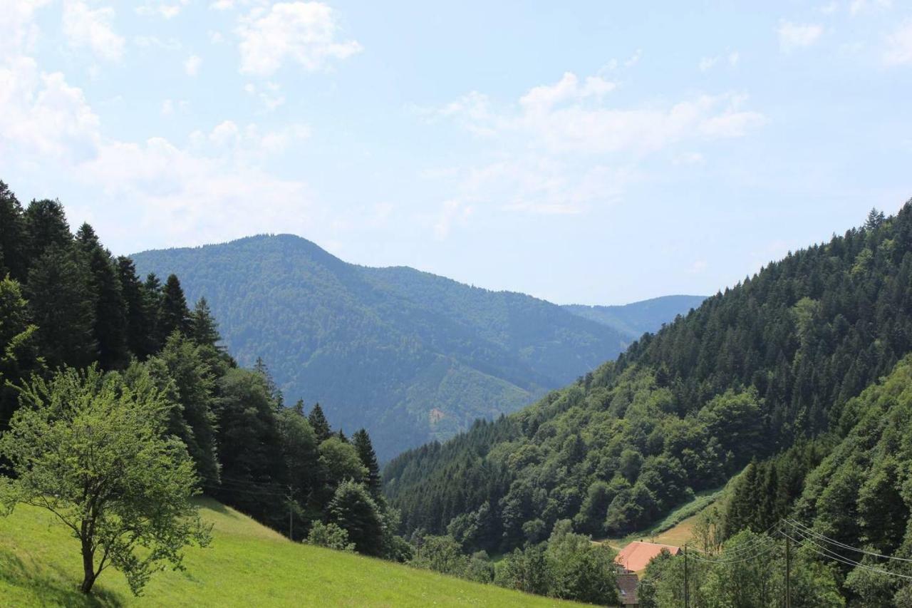 Ferienparadies Hugenhof Simonswald Kültér fotó