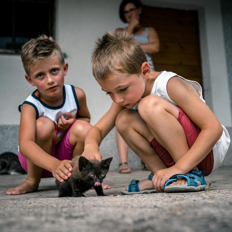 Ferienparadies Hugenhof Simonswald Kültér fotó